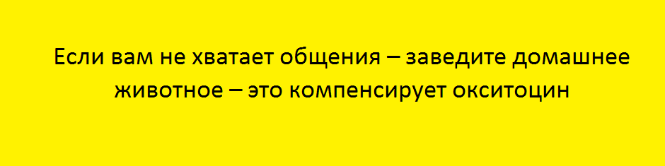 как навсегда перестать есть сладкое и мучное